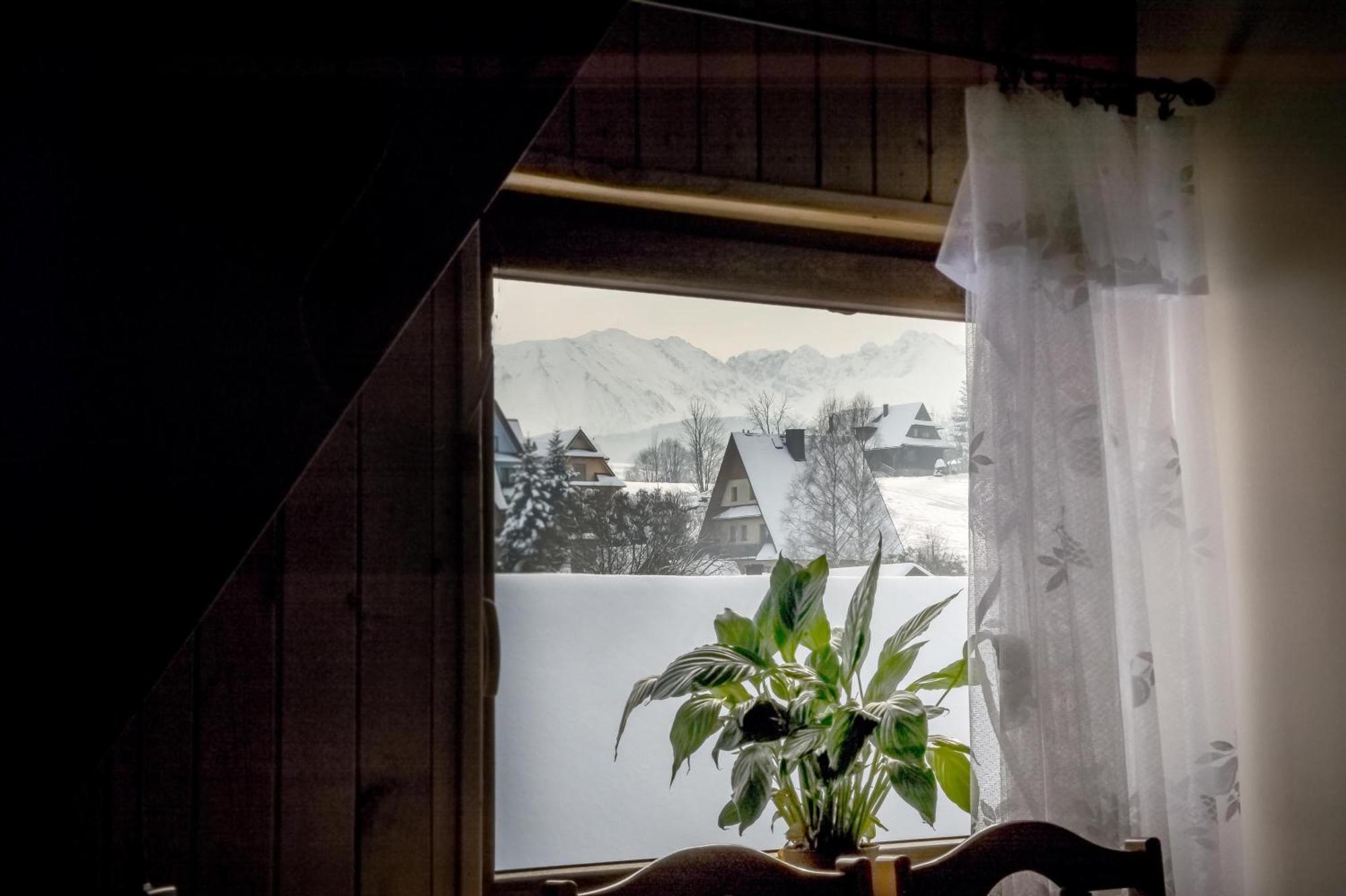 Apartament U Capka ポロニン エクステリア 写真